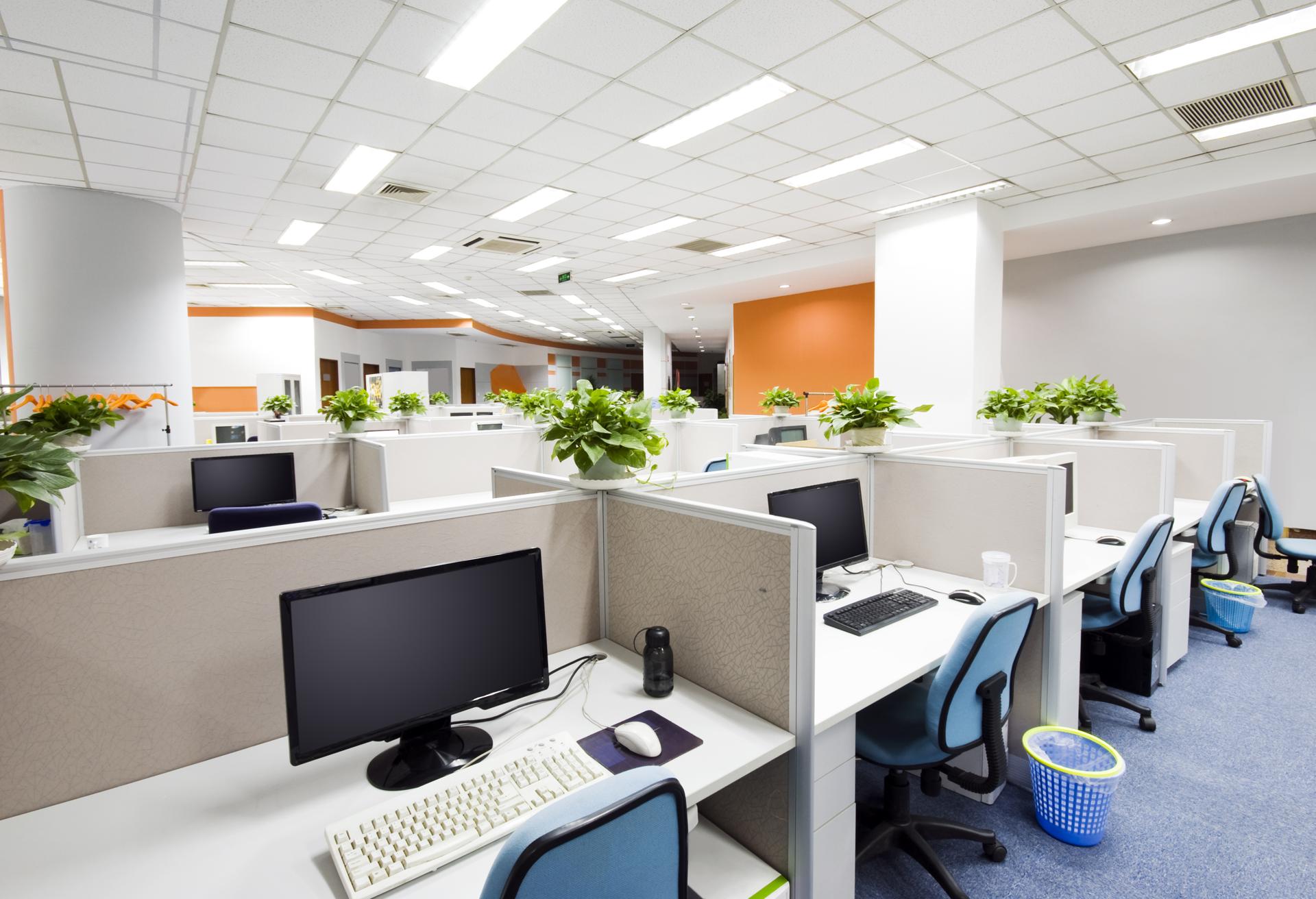 Top Commercial Office Cleaning In Cape Schanck